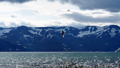比特币当前价格是多少？