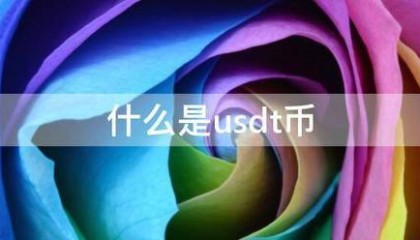 什么是usdt币