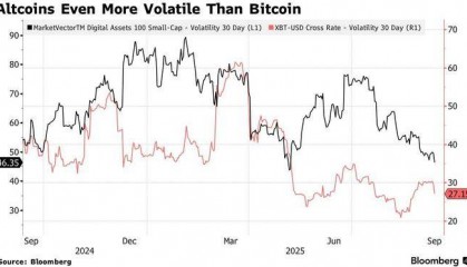 比特币VS山寨币：企业资产负债表上的千亿美金博弈