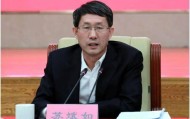 首次披露：苏斌如，已落马