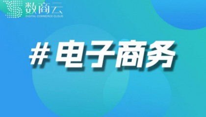虚拟商品交易电商网站搭建｜虚拟商品交易电商网站建设方案｜数商云
