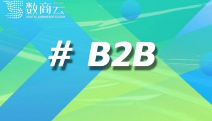如何选择合适的B2B商城网站源码以提升企业在线交易效率？｜数商云