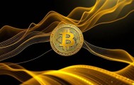 全球上市公司比特币持有总量超100万枚,你怎么看