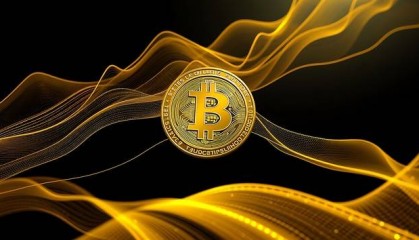 全球上市公司比特币持有总量超100万枚,你怎么看