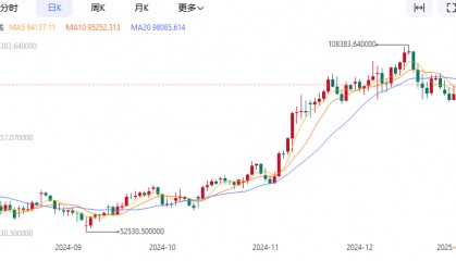 2025年比特币牛市行情将继续？
