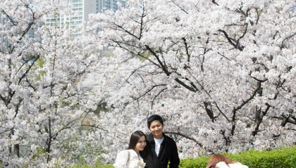 韩国婚介APP新手段：按“读后感”匹配对象