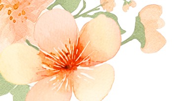 【听科学】轮船之父——富尔敦