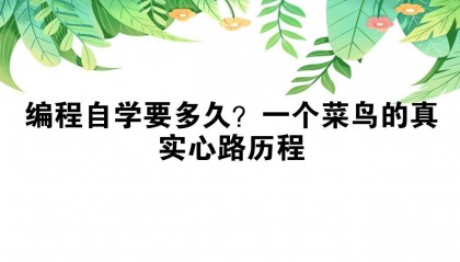 编程自学要多久？一个菜鸟的真实心路历程