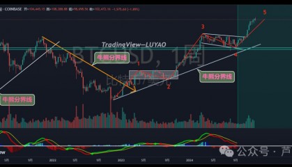 “黑天鹅”爆仓上亿元！比特币下杀双爆！山寨捧杀韭菜？抄底！如何终结洗盘行情？