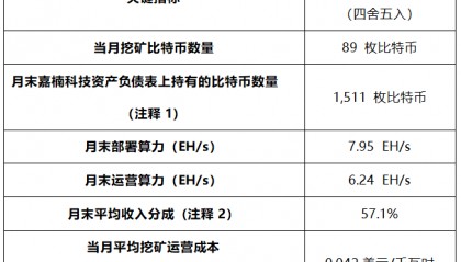 嘉楠科技公布2025年7月比特币产量及挖矿业务更新