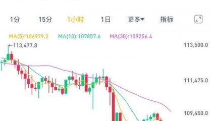 全线暴跌！超28万人爆仓