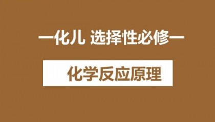 一化儿 选择性必修一 化学反应原理 网课视频下载