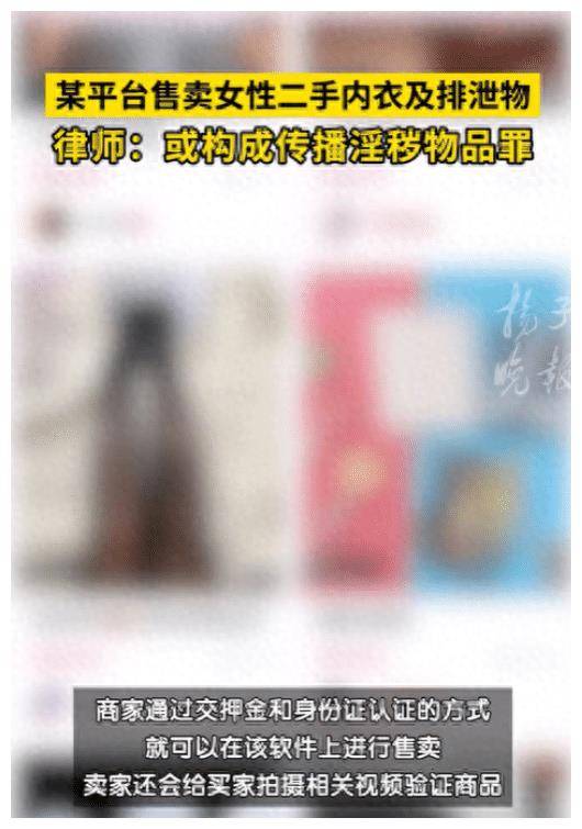揭露暗网APP的恶行：女性内衣与排泄物交易的黑暗交易链