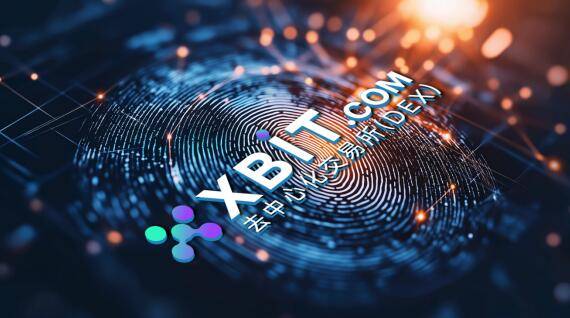 买币交易所官网的安全革命：XBIT如何定义行业标准
