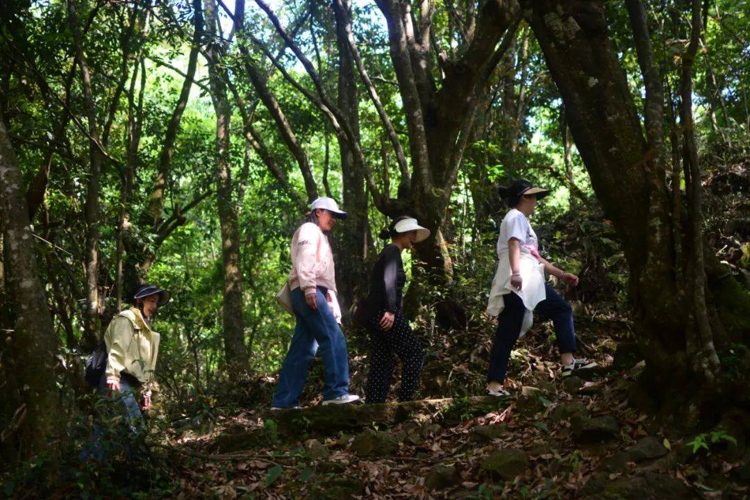 走进4万年前的“火山秘境”——腾冲神柱谷