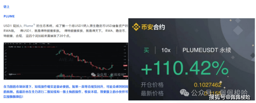 市场血流成河！巨鲸突袭！20亿比特币砸盘引发暴跌！PLUME逆势狂赚110%！