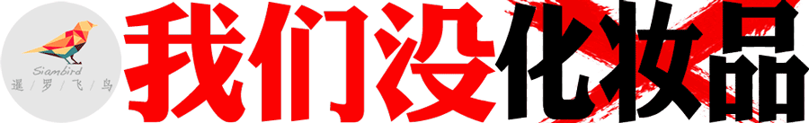 涉泰国2亿泰铢比特币诈骗案，中国男子跑路在曼谷机场被捕