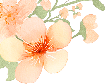 【听科学】轮船之父——富尔敦