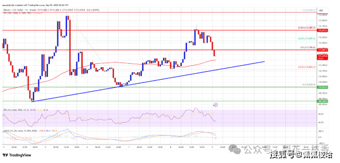 比特币价格在 113,000 美元附近挣扎——多头会强行突破吗？