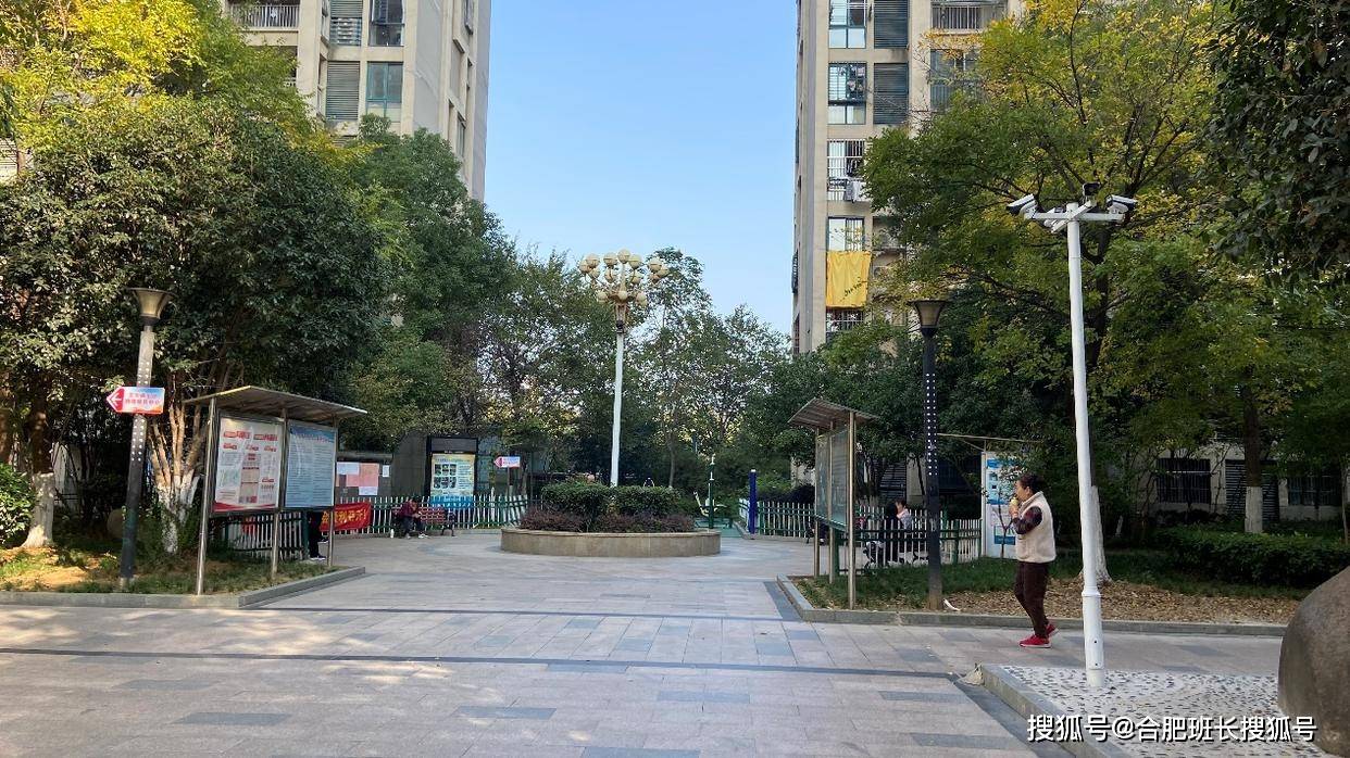 单价最高约6万,合肥最新学区房价格!