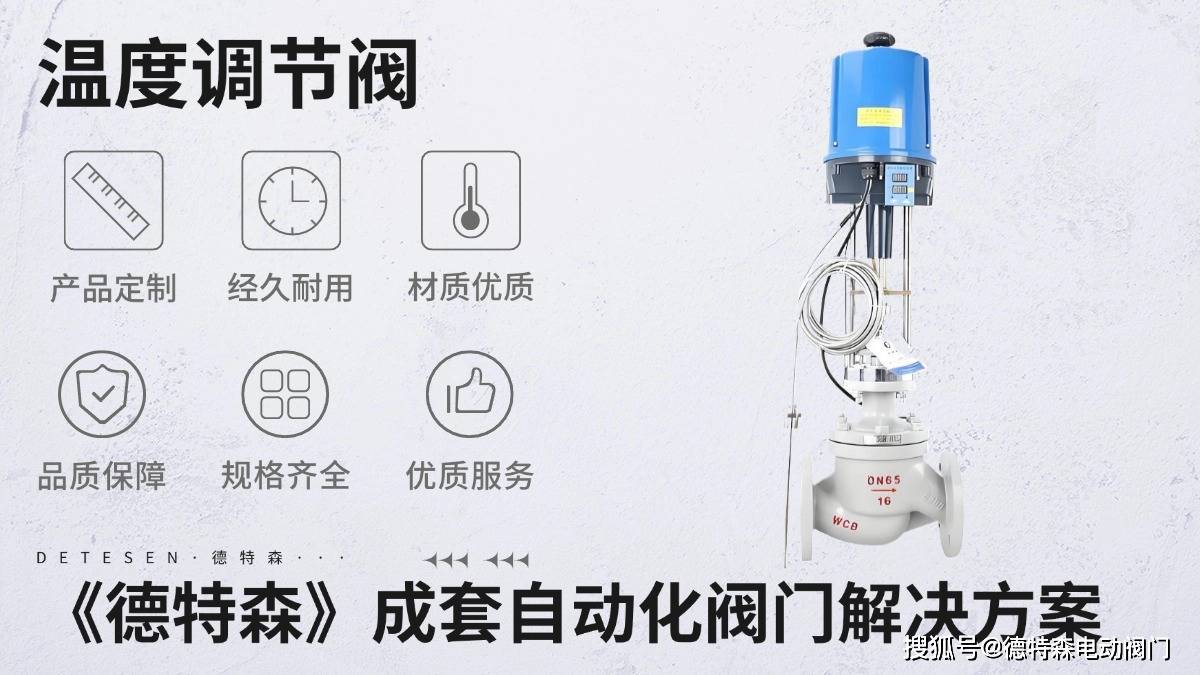 国外知名的电动温控阀品牌及其特点