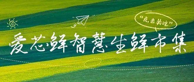 【2025】上海最具有投资价值的菜场摊位——爱芯鲜智慧生鲜市集