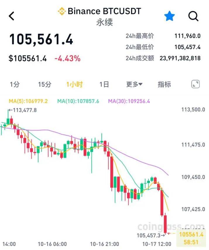 全线暴跌！超28万人爆仓！