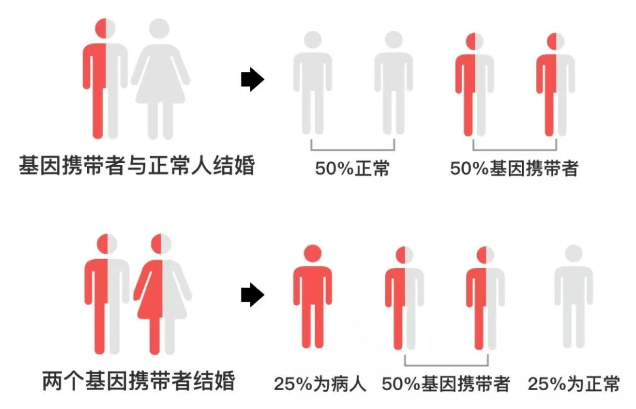 6·28国际新生儿筛查日｜重视新生儿两病筛查，筑牢儿童健康第一道防线